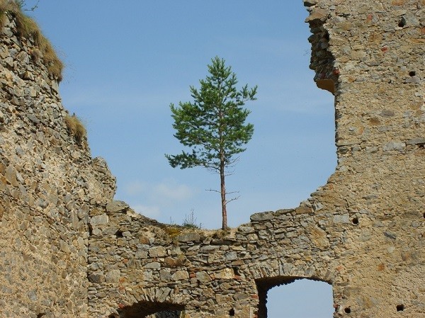 Ruine Divci Kamen