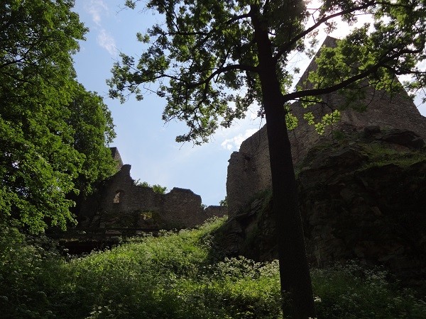 Ruine Choustnik