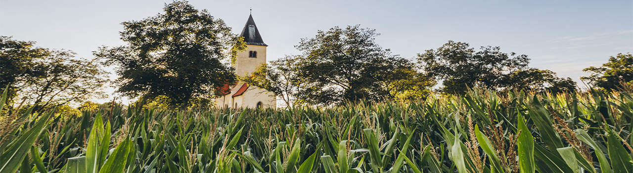 Kerkje Konopiste Praag